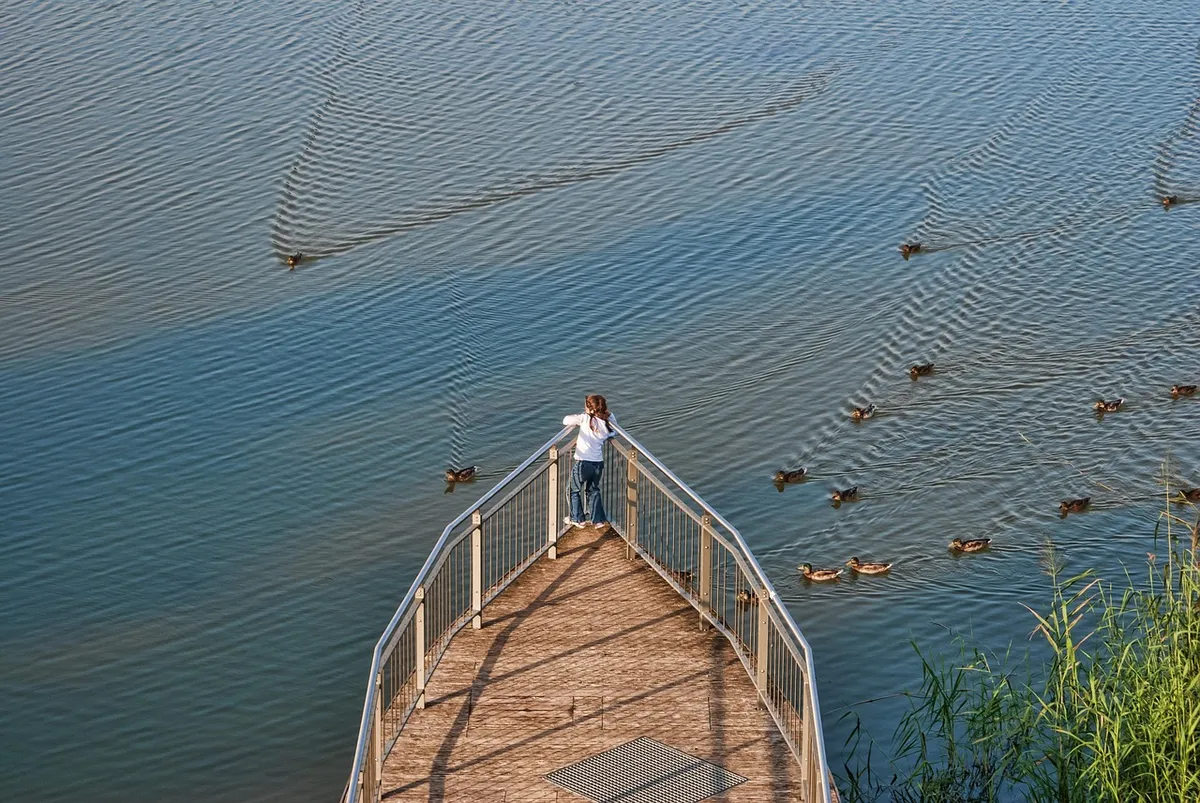 waters, nature, reflection, bridge, wood, lake, summer, mooring, child ducks, web, water, expo, hanover, landscape, boardwalk, mood