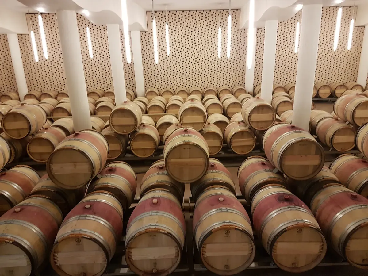 Wooden wine barrels stored in a Saint-Émilion cellar, France's renowned wine region.